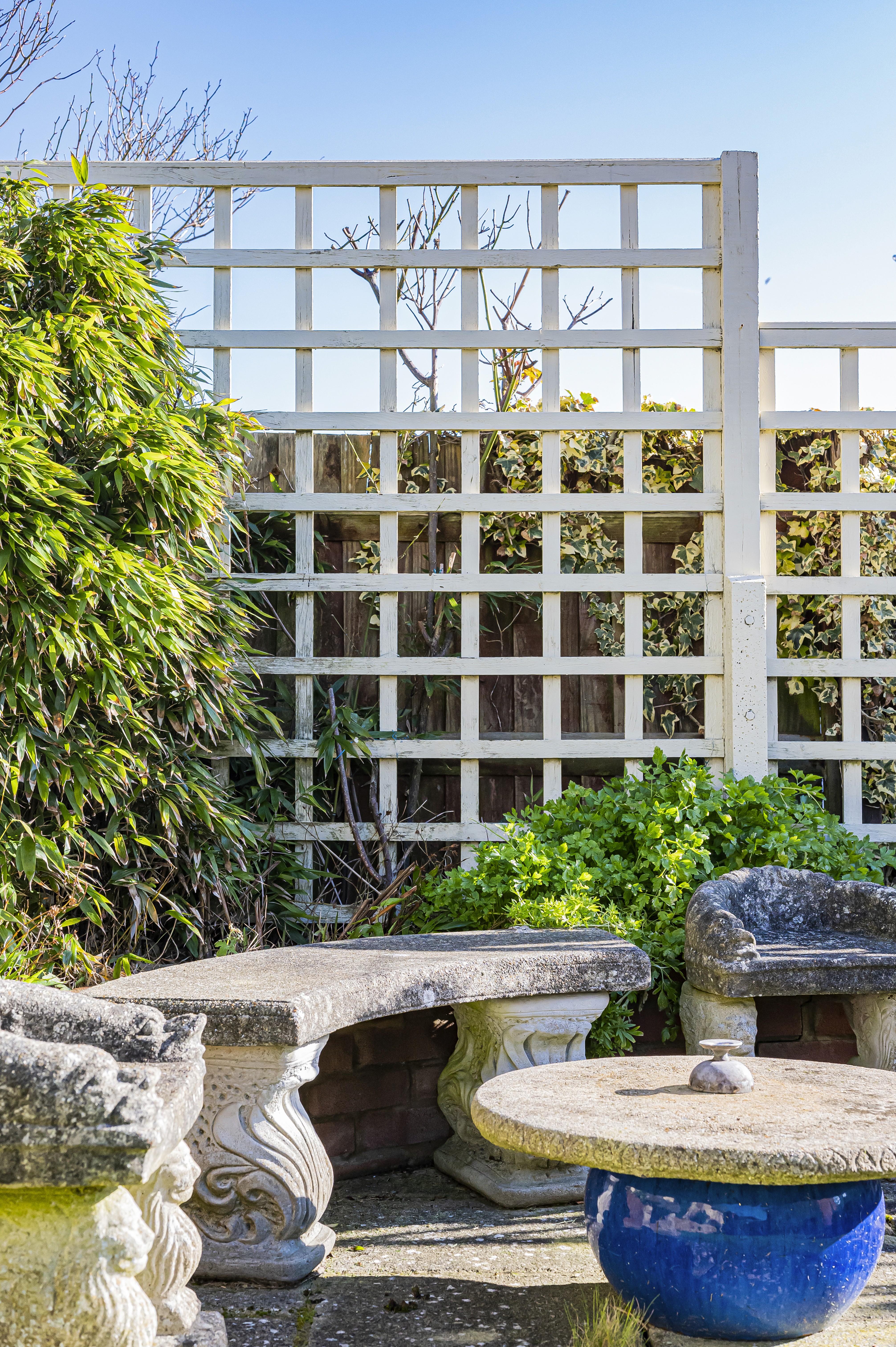 Two well-dressed men smile and pose joyfully together outdoors, surrounded by greenery.