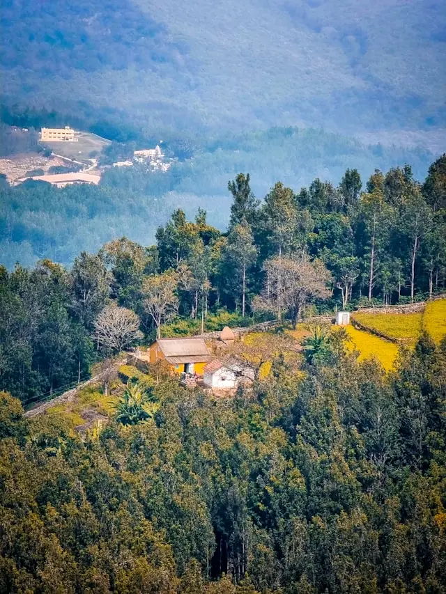 South India Hills to establish the dream trigger project and spread MiniSmartBubble