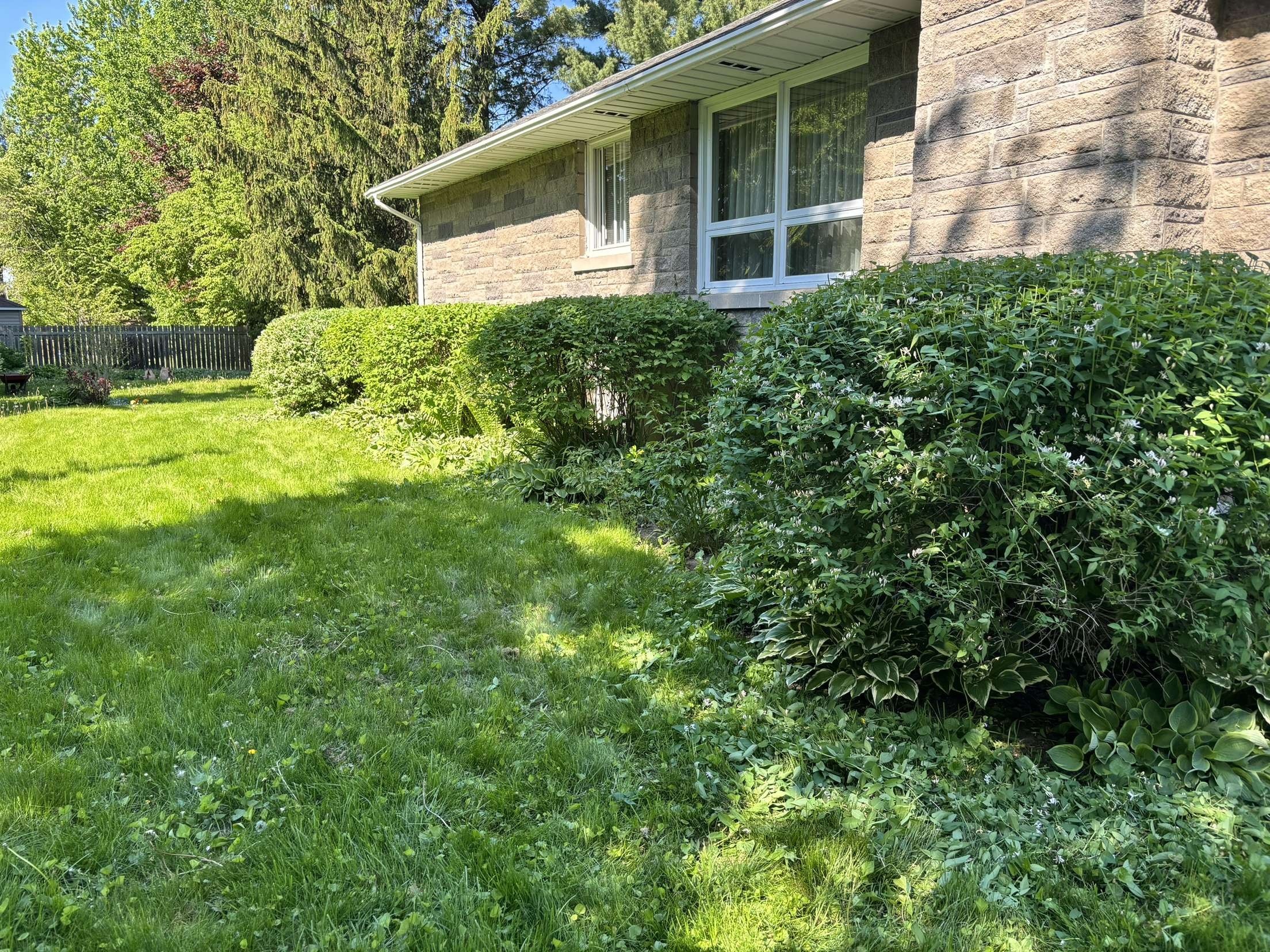 Landscaping works