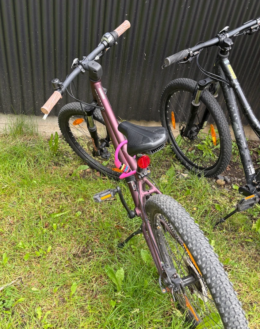 kids bikes parked on grass