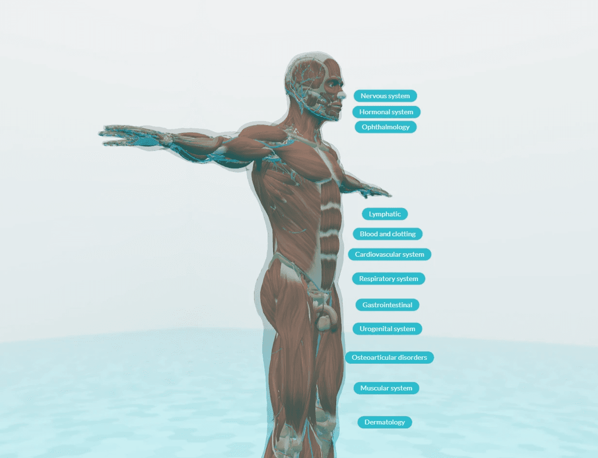 Taleshapes inteactive 3D