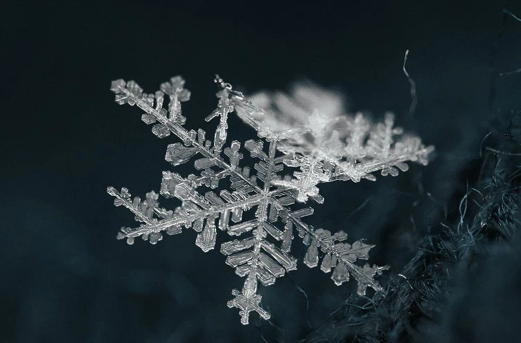 Close-up of a single detailed snowflake