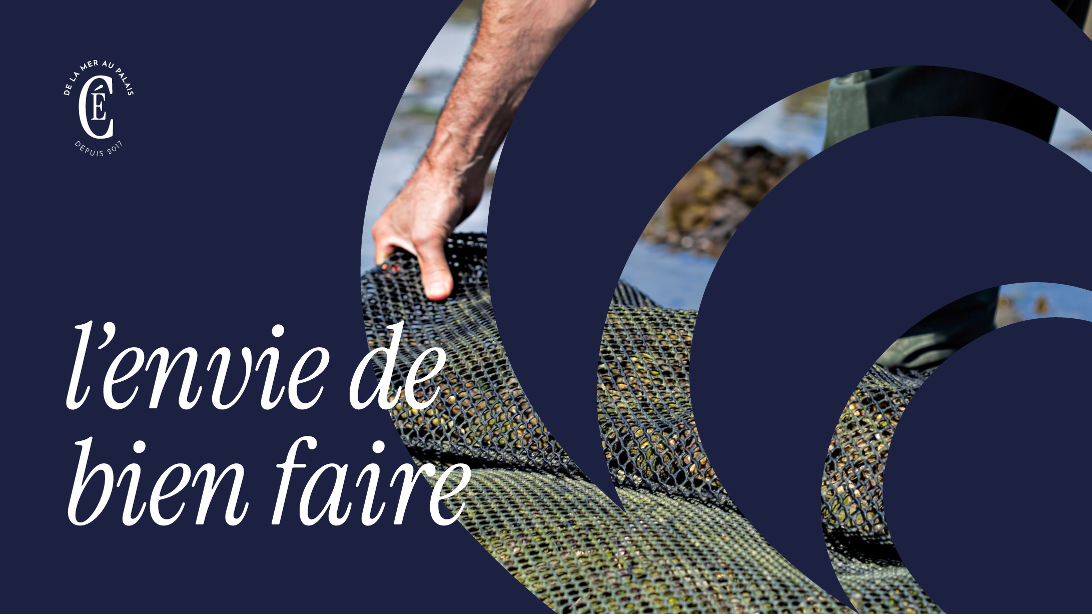 Here comes the alt text