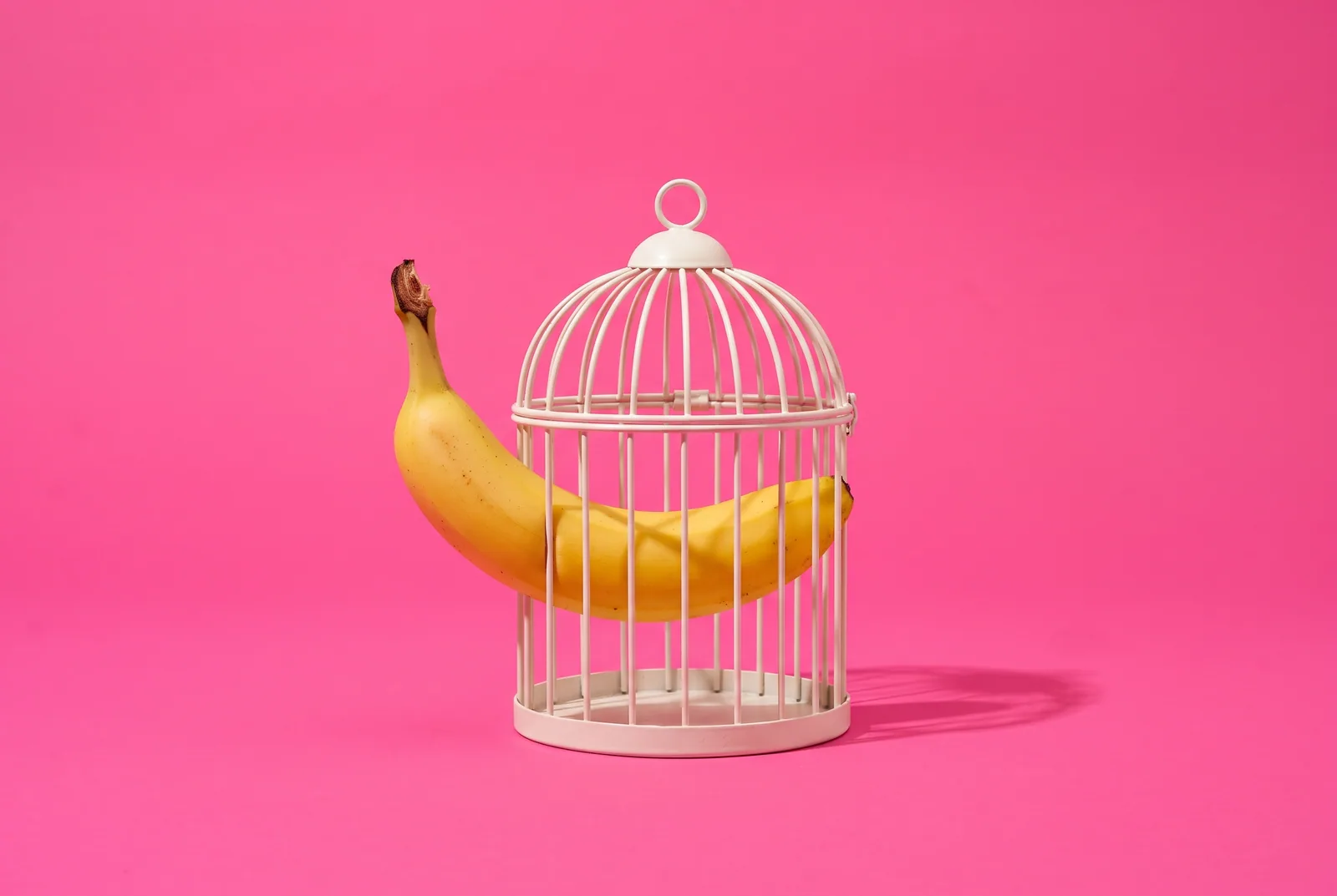 A banana slipping out between the bars of a small birdcage, showing how people get around free porn blockers