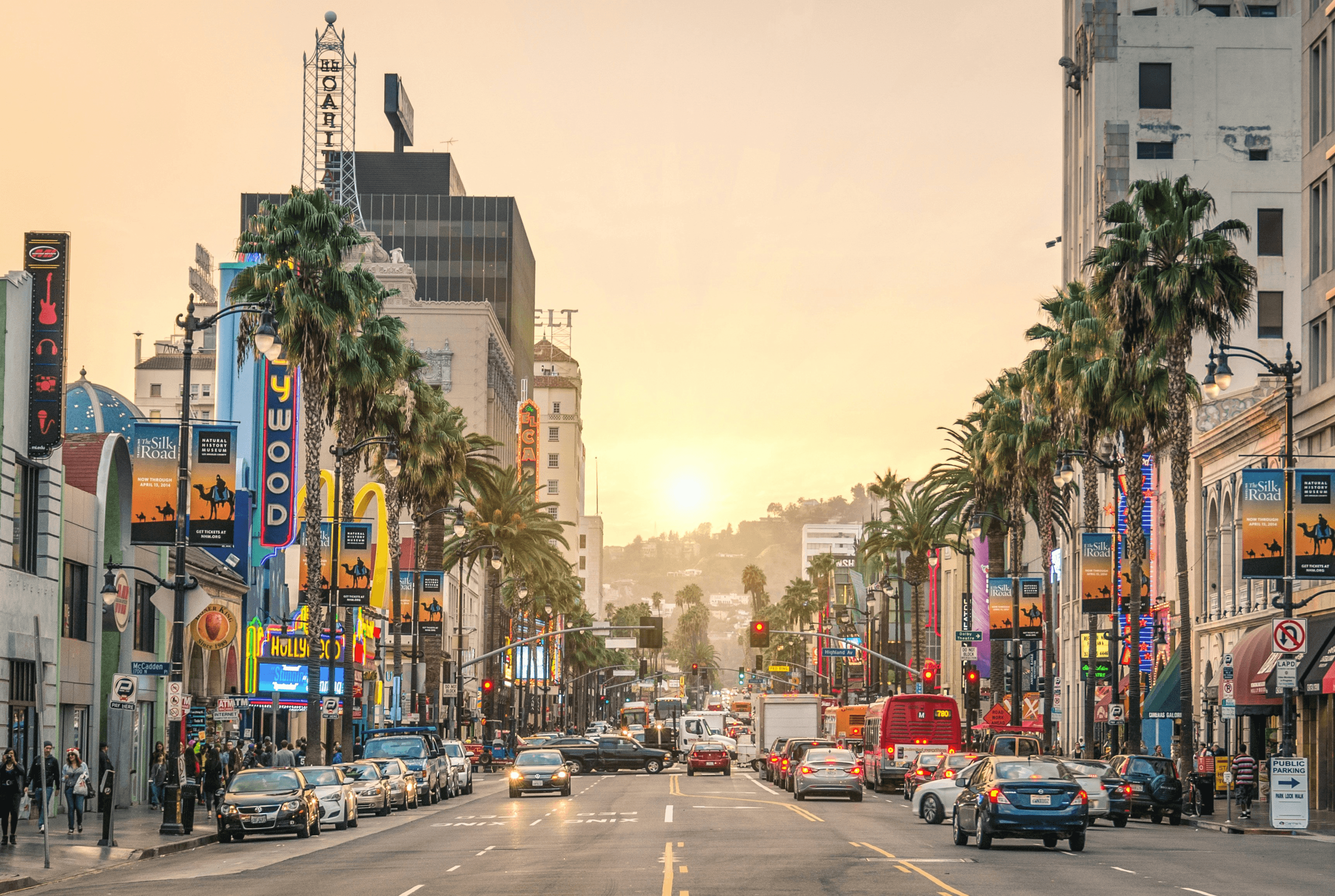 High school student in California working on original research with a PhD mentor online