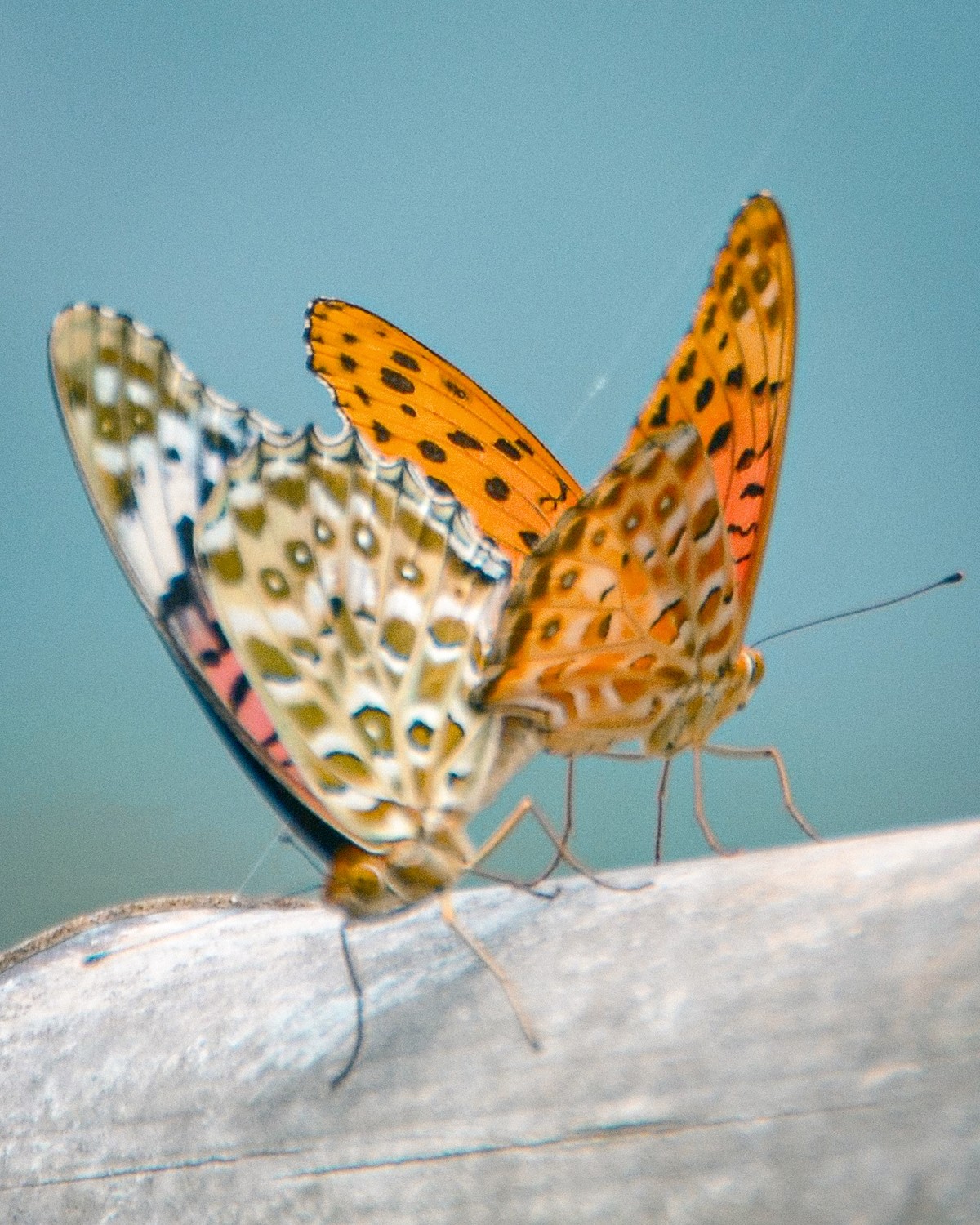 a white car parked in front of a building