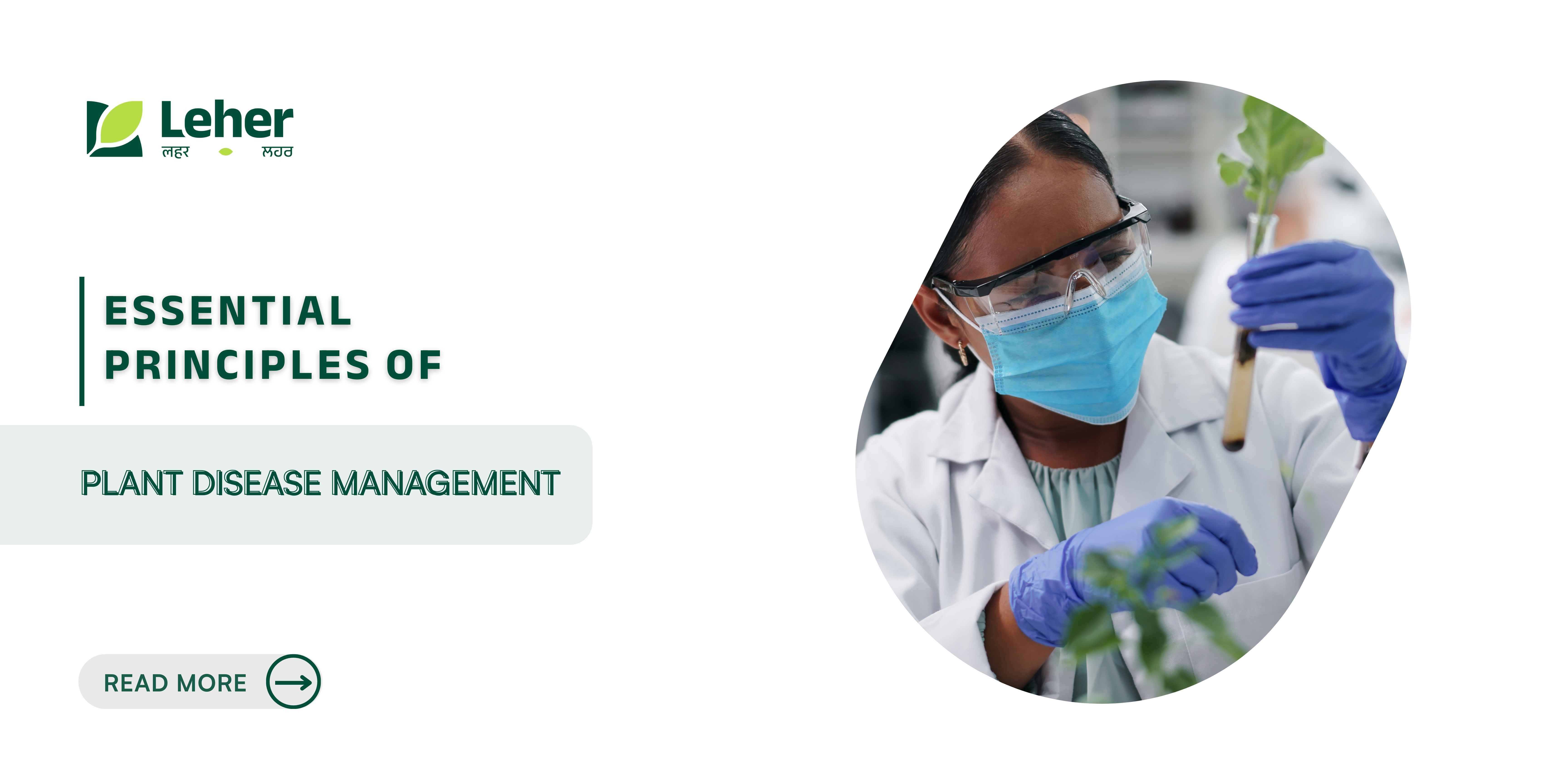 Essential Principles of Plant Disease Management