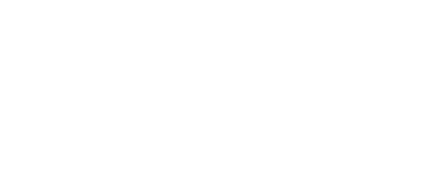 Brand Identity