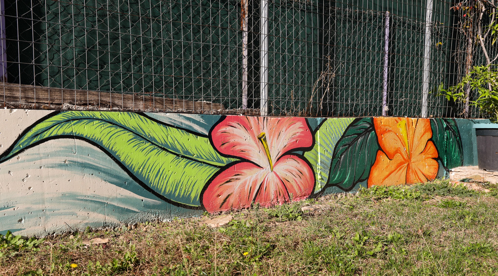 Flower & Plants on the corner