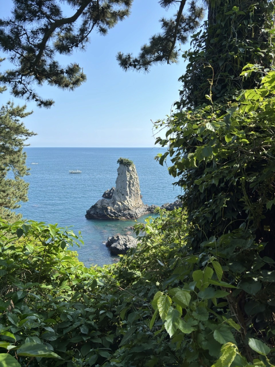 Uitzicht op de oedolgae rots op jeju eiland