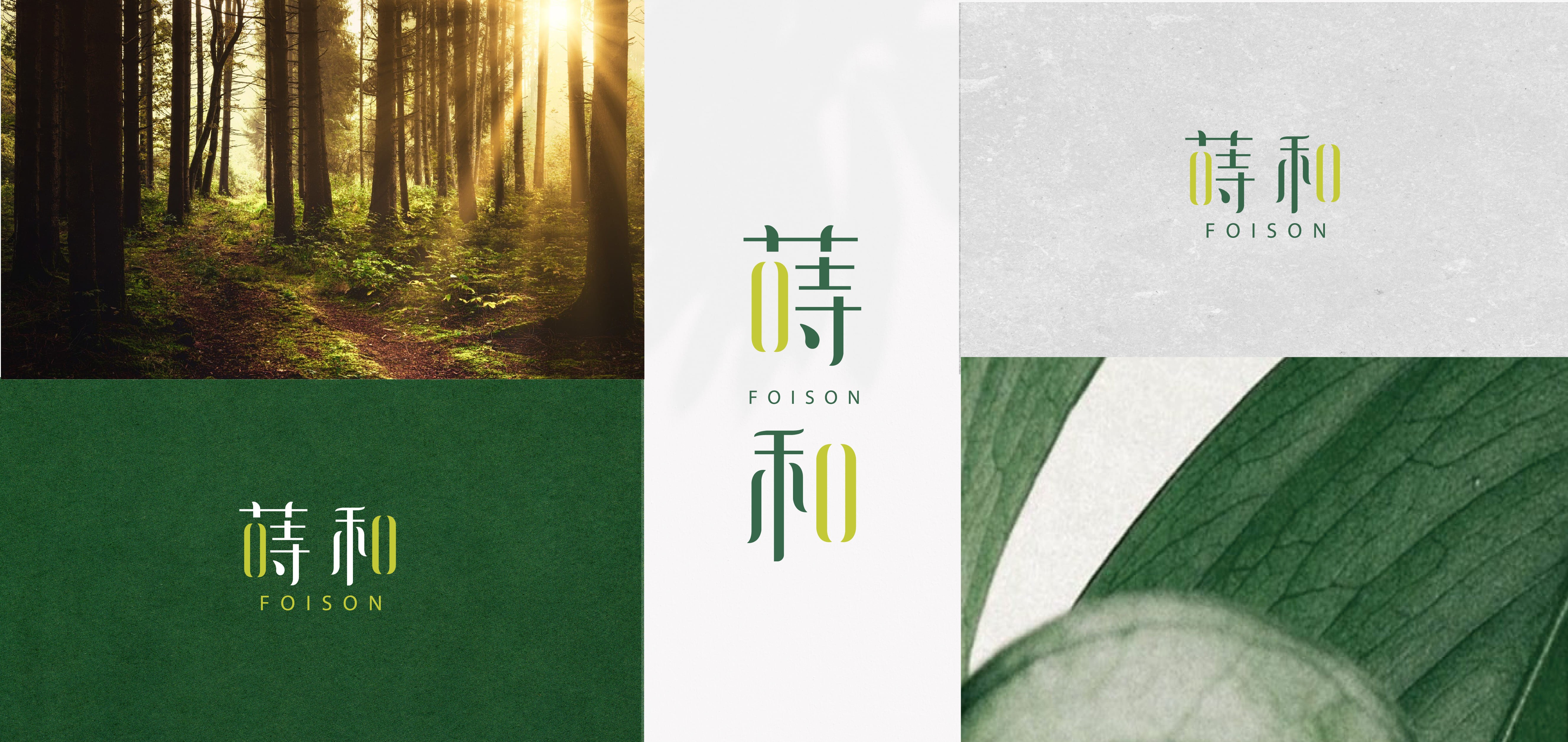 蒔和品牌標誌_顏色特寫_深綠淺綠_生機與專業_視覺傳達