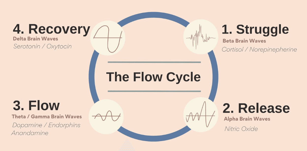 Screenshot 2025-10-10 at 1.27.01 PM.png