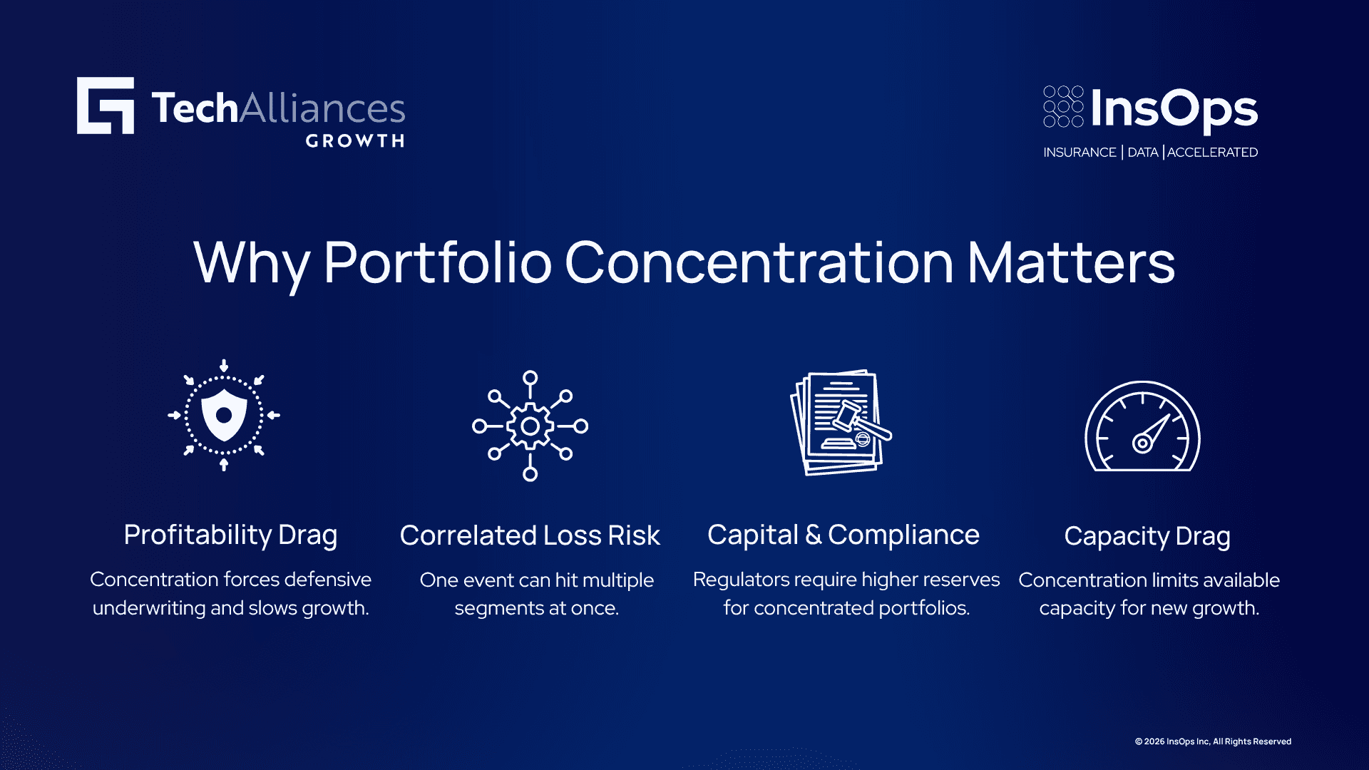 Four-step infographic on portfolio concentration risk: profitability drag, correlated loss risk, capital and compliance, capacity drag