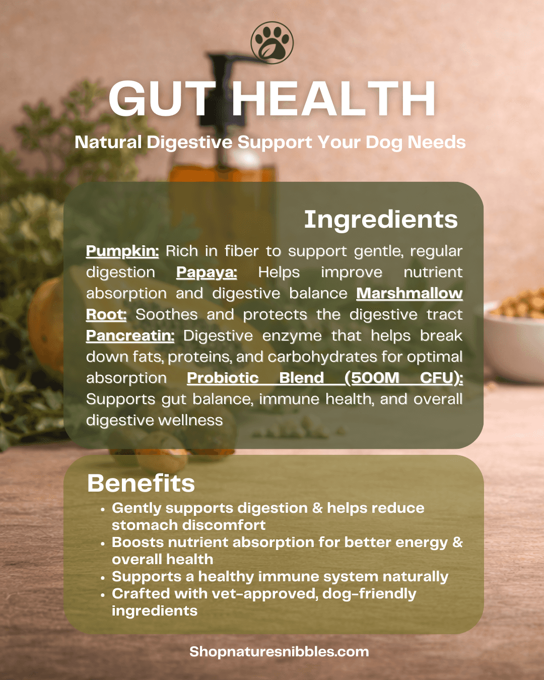 dog belly rub digestion comfort