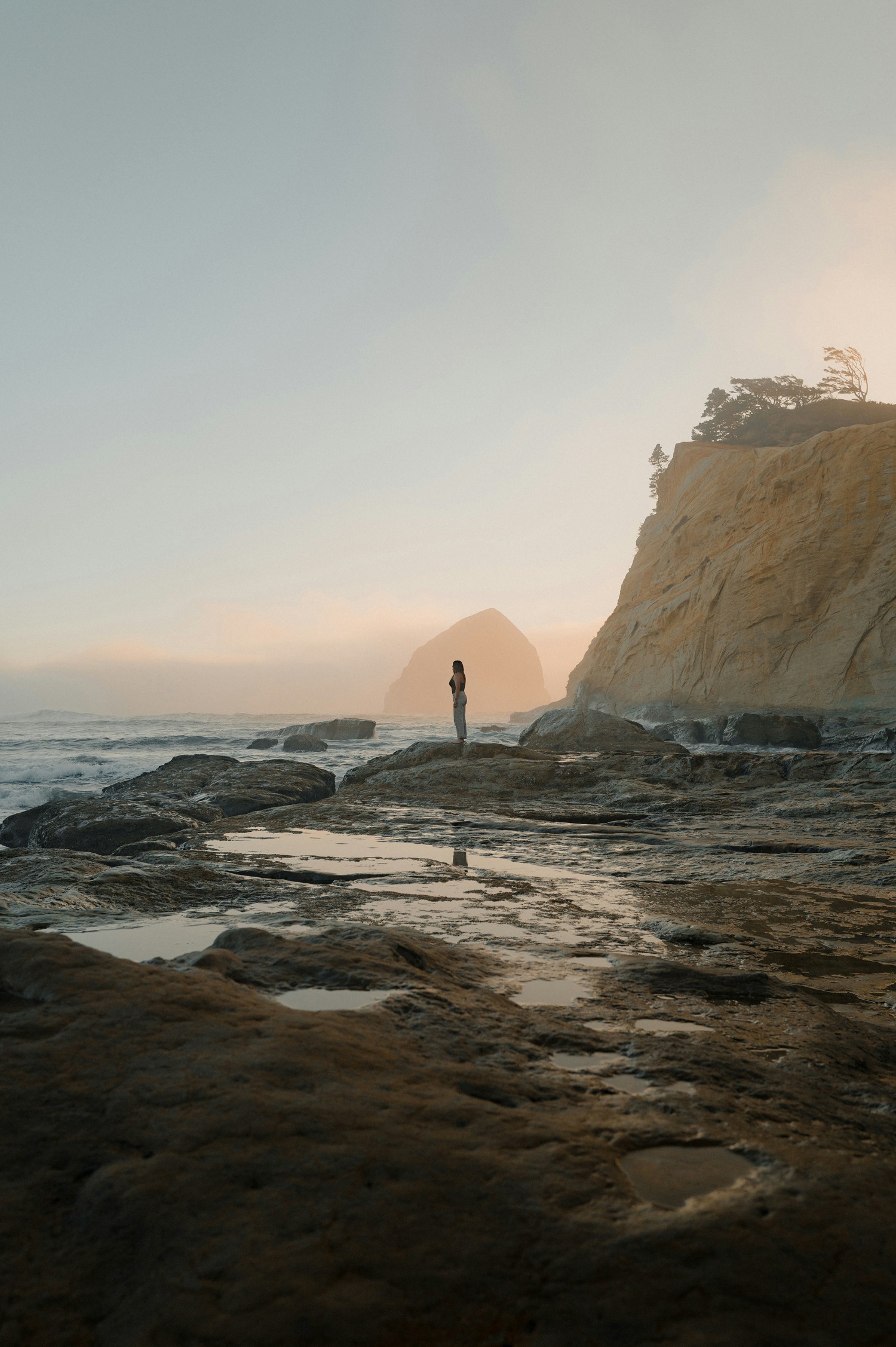 Person standing on rocky coastline.