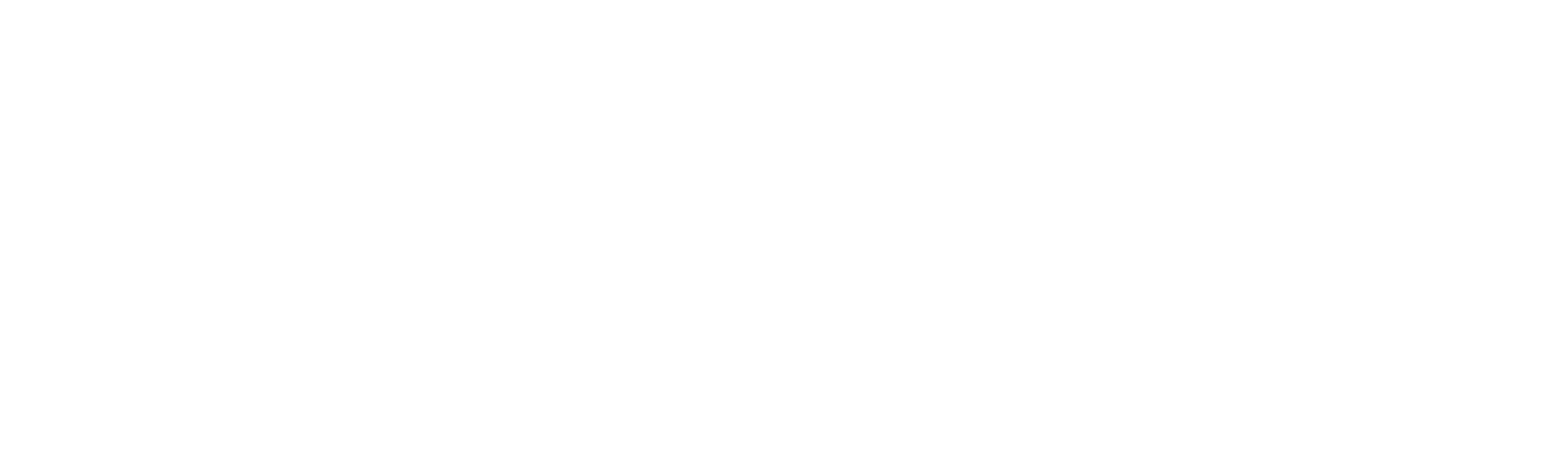 Logo of Lightspeed