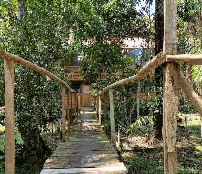 Schmaler Holzpfad mit Geländer durch die dichte Vegetation des Friedenszentrums Yushintaita.