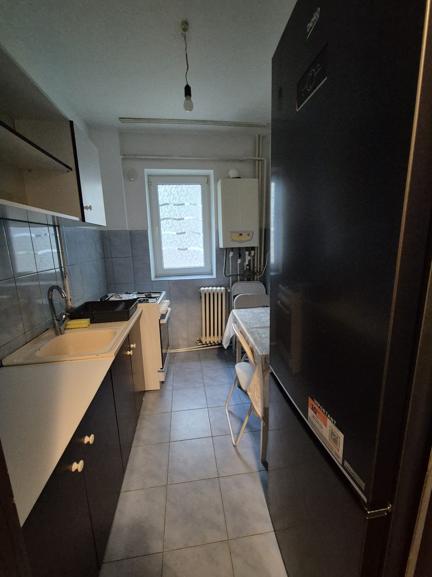 Close-up of evergreen foliage, showcasing vibrant green needles densely packed together.