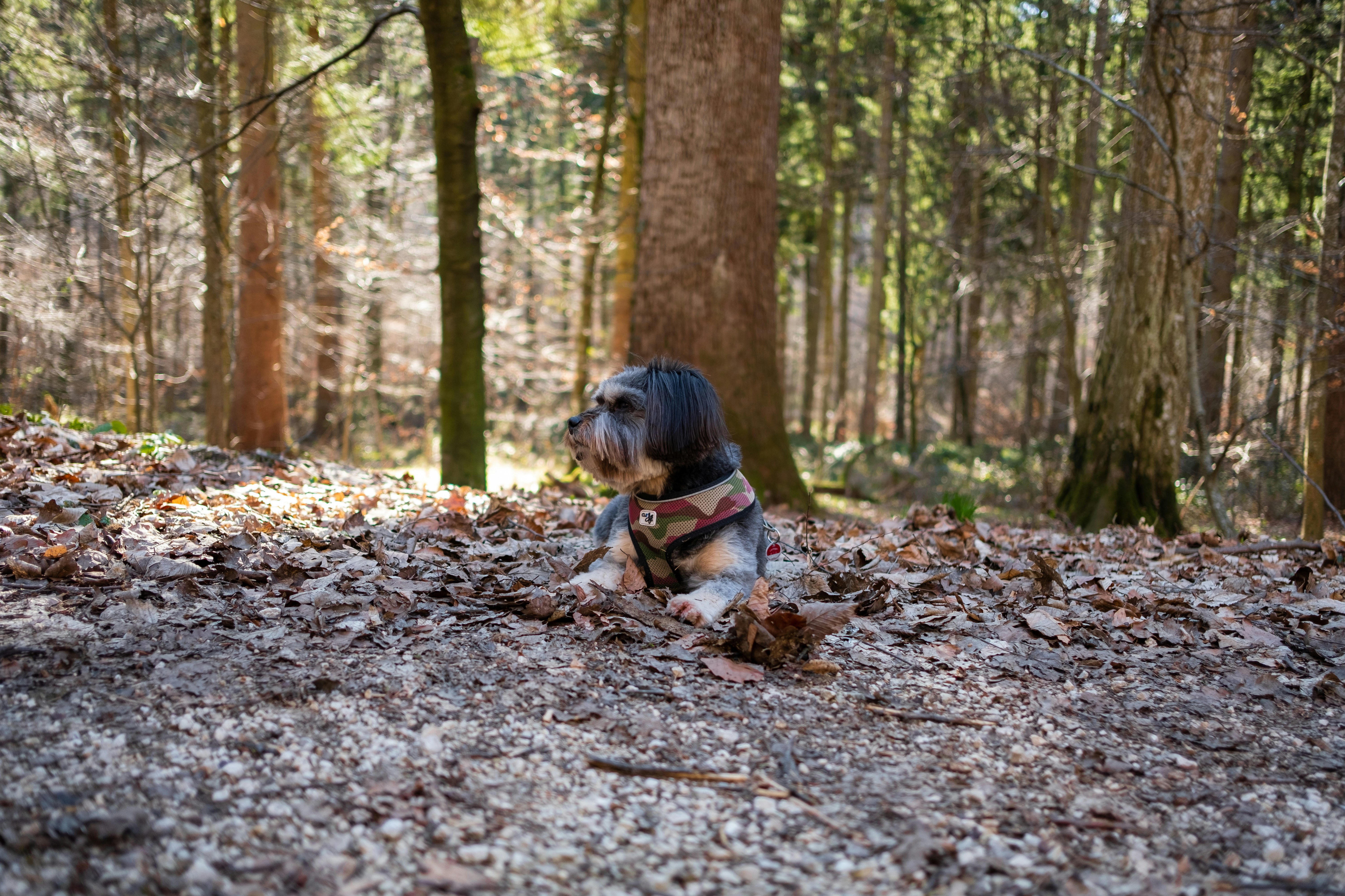 Una&Co Photo Balade éducative