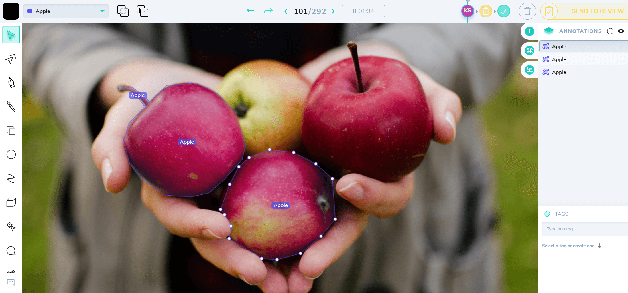 Apples annotated using the polygon tool un V7