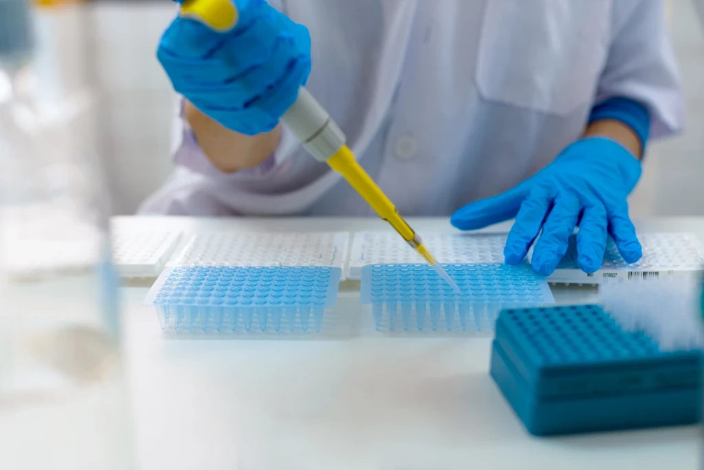 Gloved scientist using a pipette to fill blue microplates at a laboratory bench.