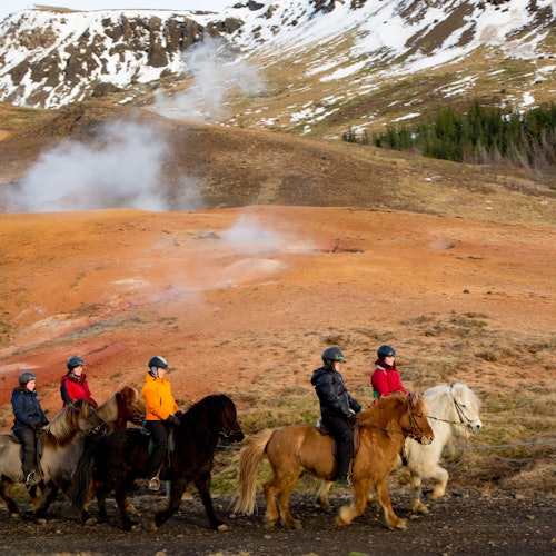 Исландия: Билеты на конный тур - экскурсия к горячим источникам в Ольфусе