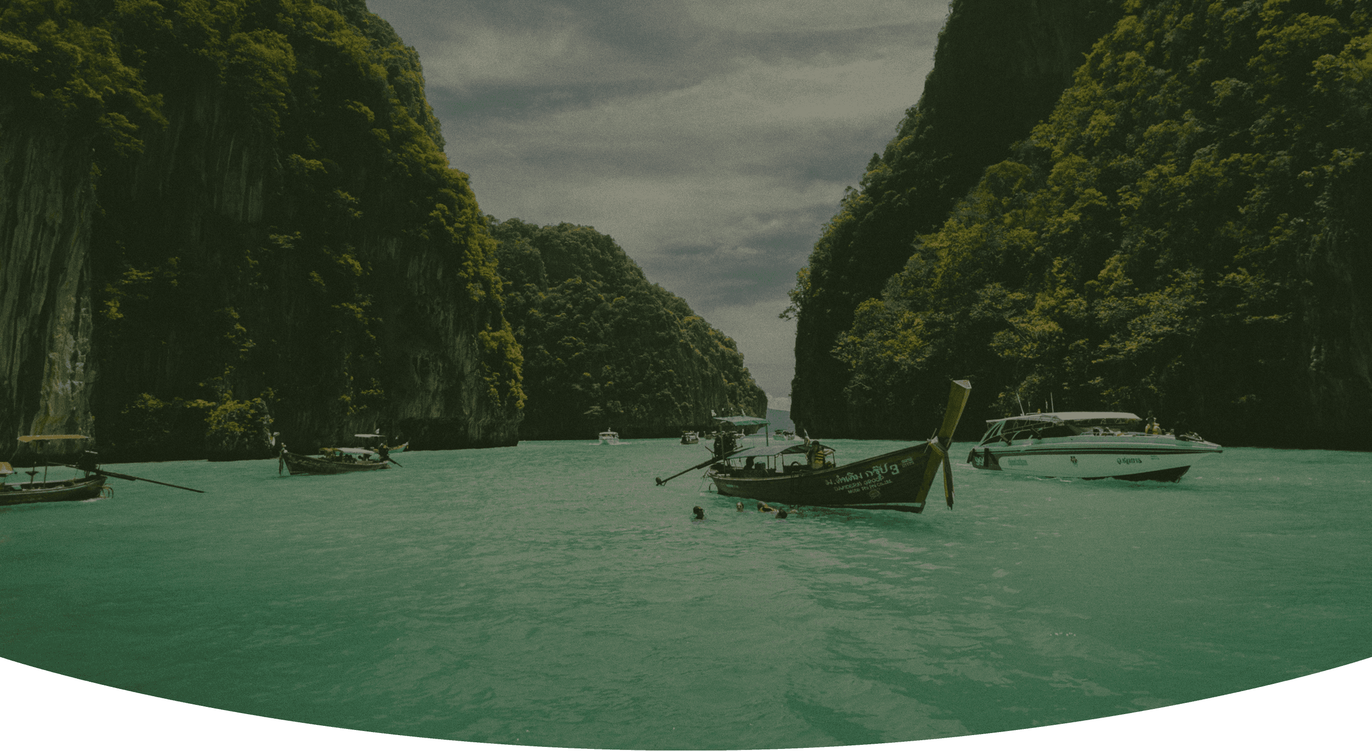 mountain near green trees at night