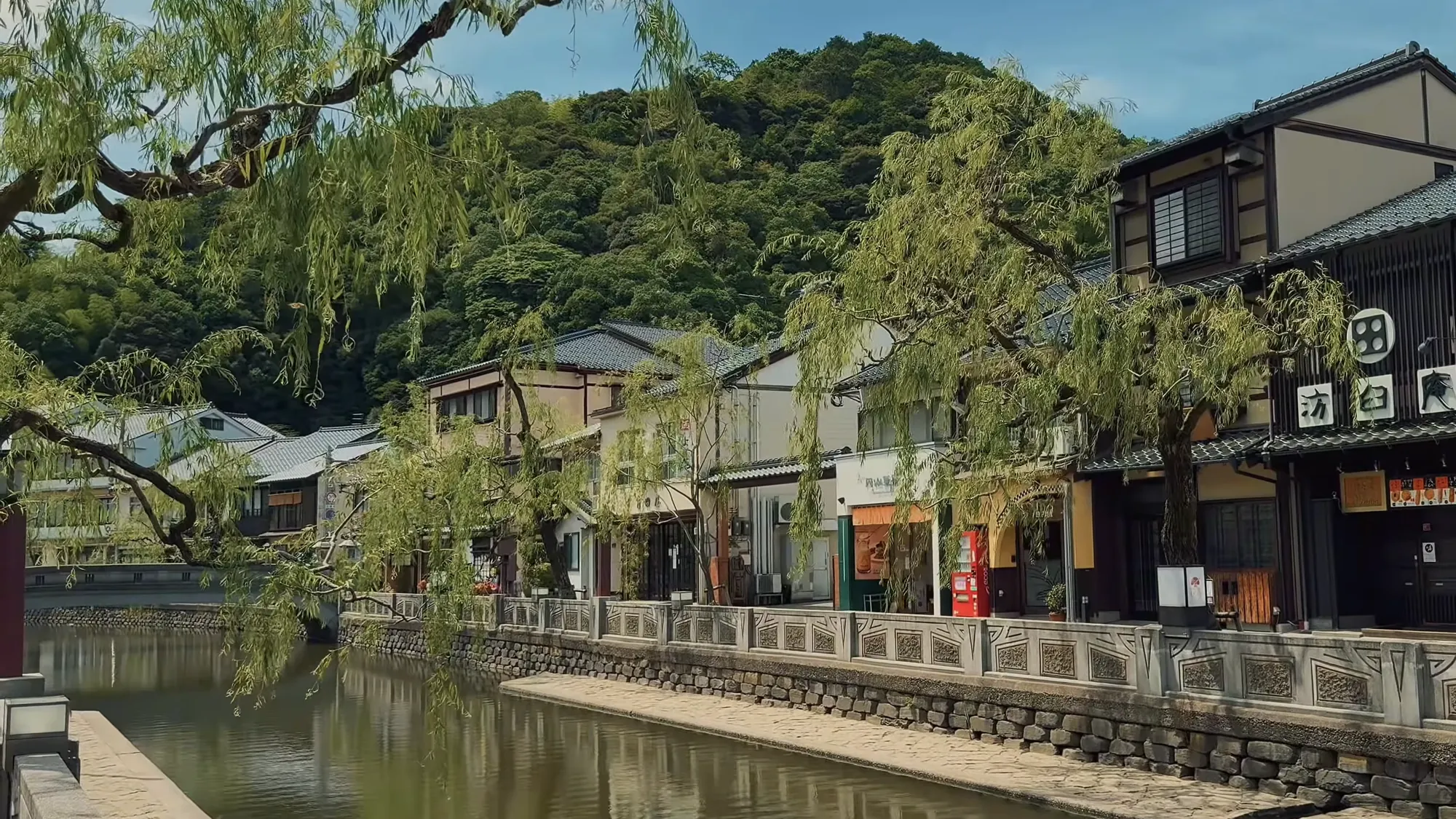 Inns along the Kinosaki canal under full green willow in late spring.