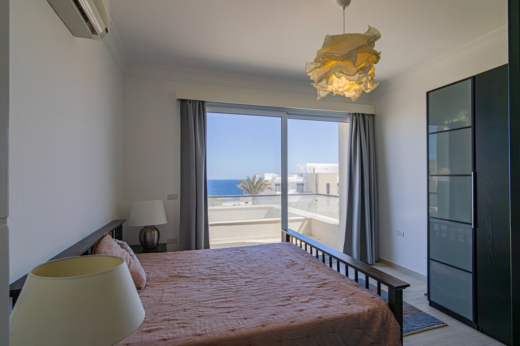 houses surrounded with plants