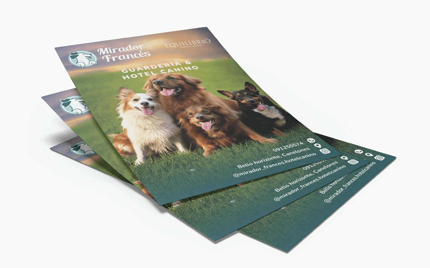 Large Project Gallery Image #3