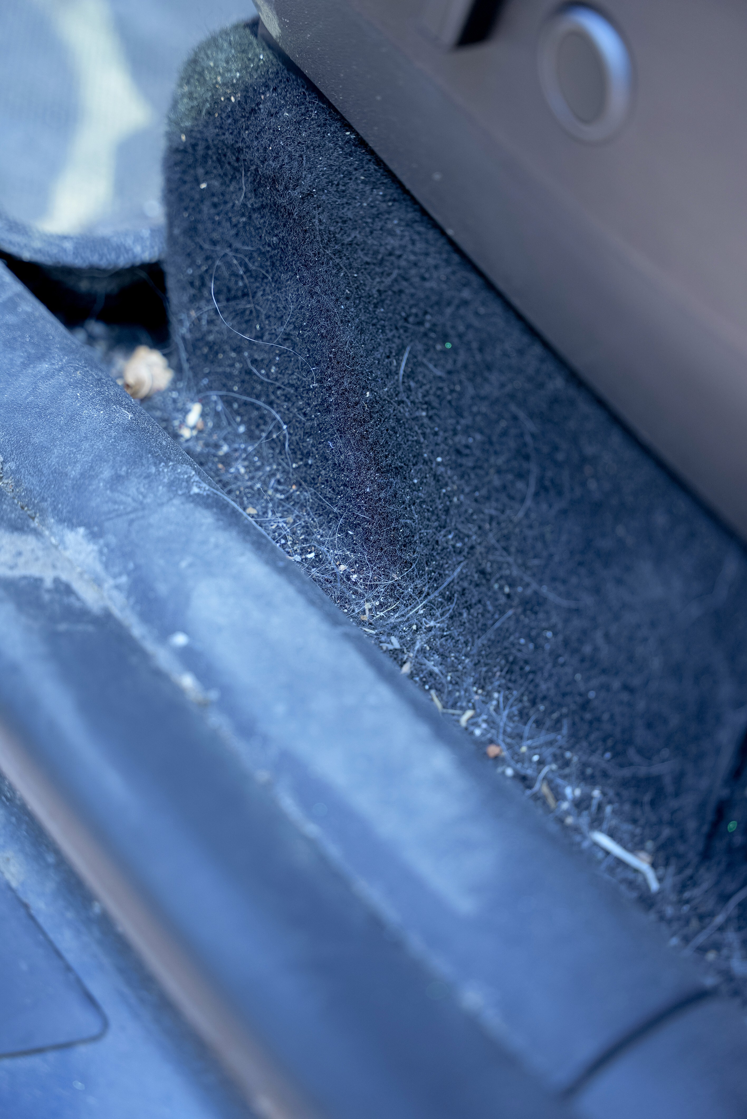 GTA fur free pet hair vacuuming process Metro Auto Spa