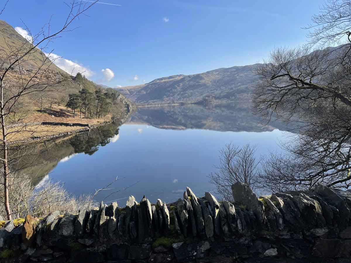 Feral Swan: restorative and ecotherapy – image of a tranquil lake