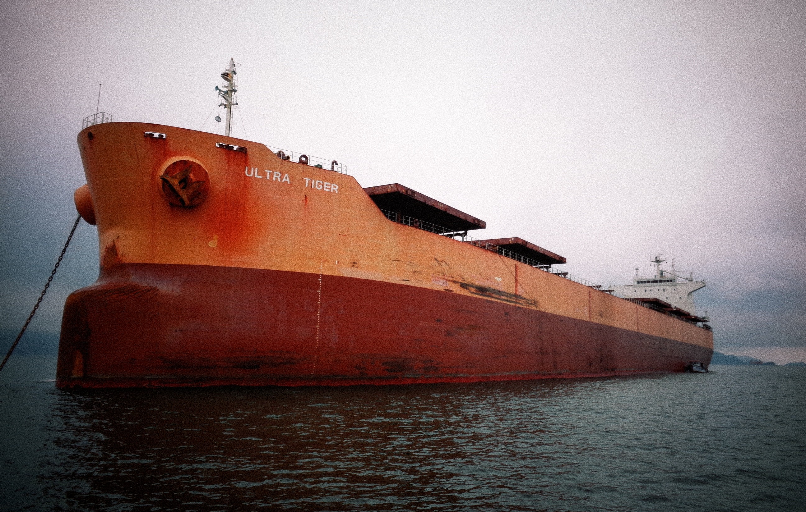 Bulk carrier ULTRA TIGER cargo hold cleaning in Santos (2020), coal-to-grain preparation across tank top, hold frames, hoppers and hatch cover interfaces (now NAV VIDYA, IMO 9414149).
