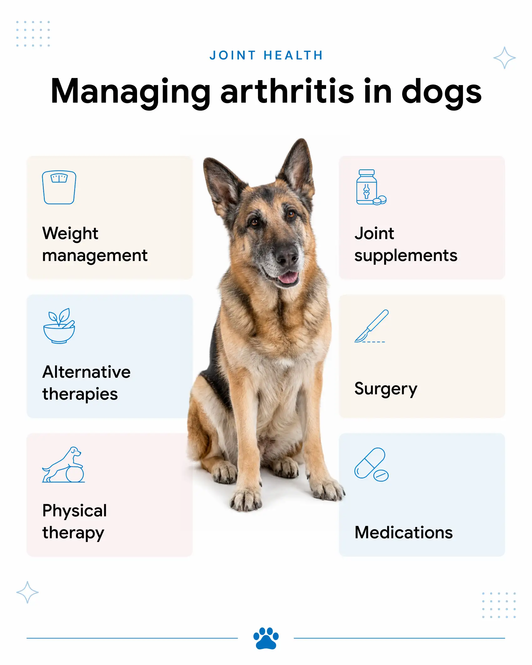 Treatment and Management of Arthritis in Dogs