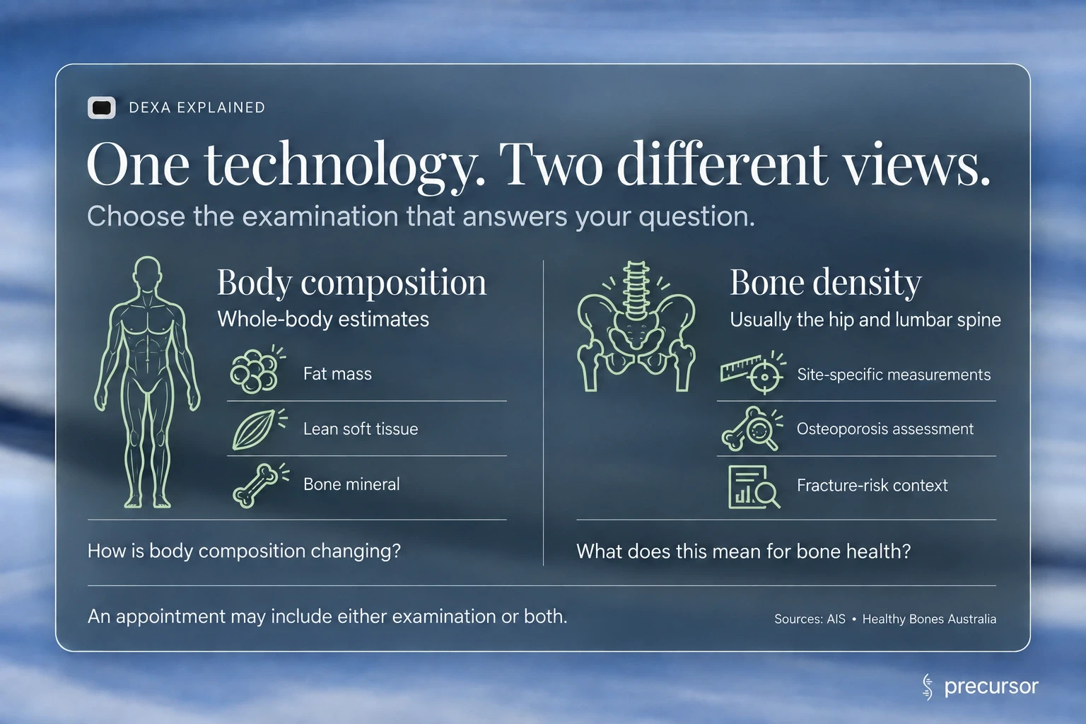 Comparison of whole-body DEXA composition measurements and hip-and-spine bone-density assessment.