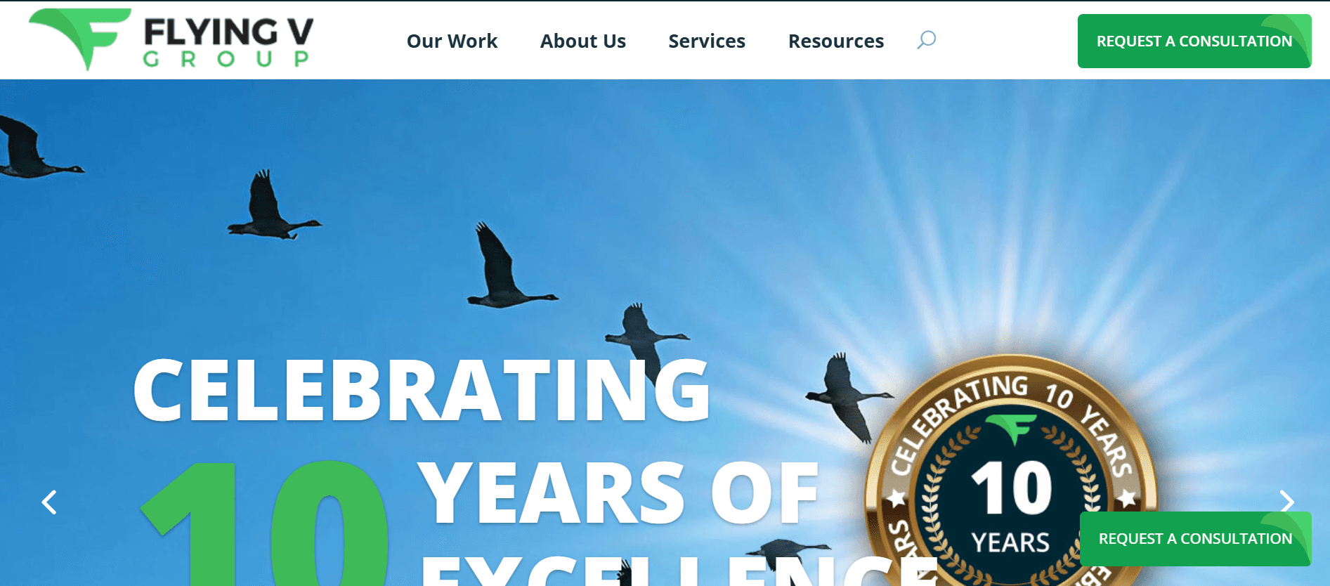 flying V group - SEO And PPC Agency