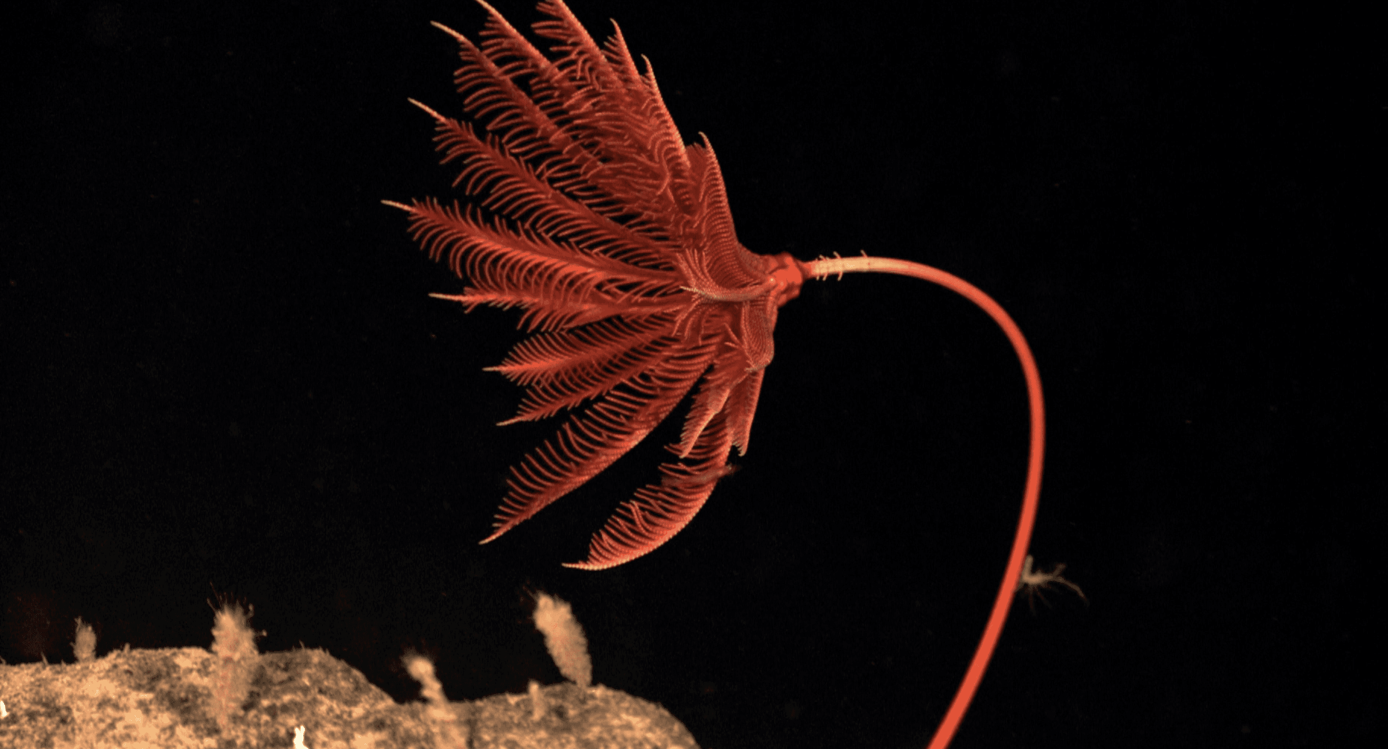 Photo by: NOAA