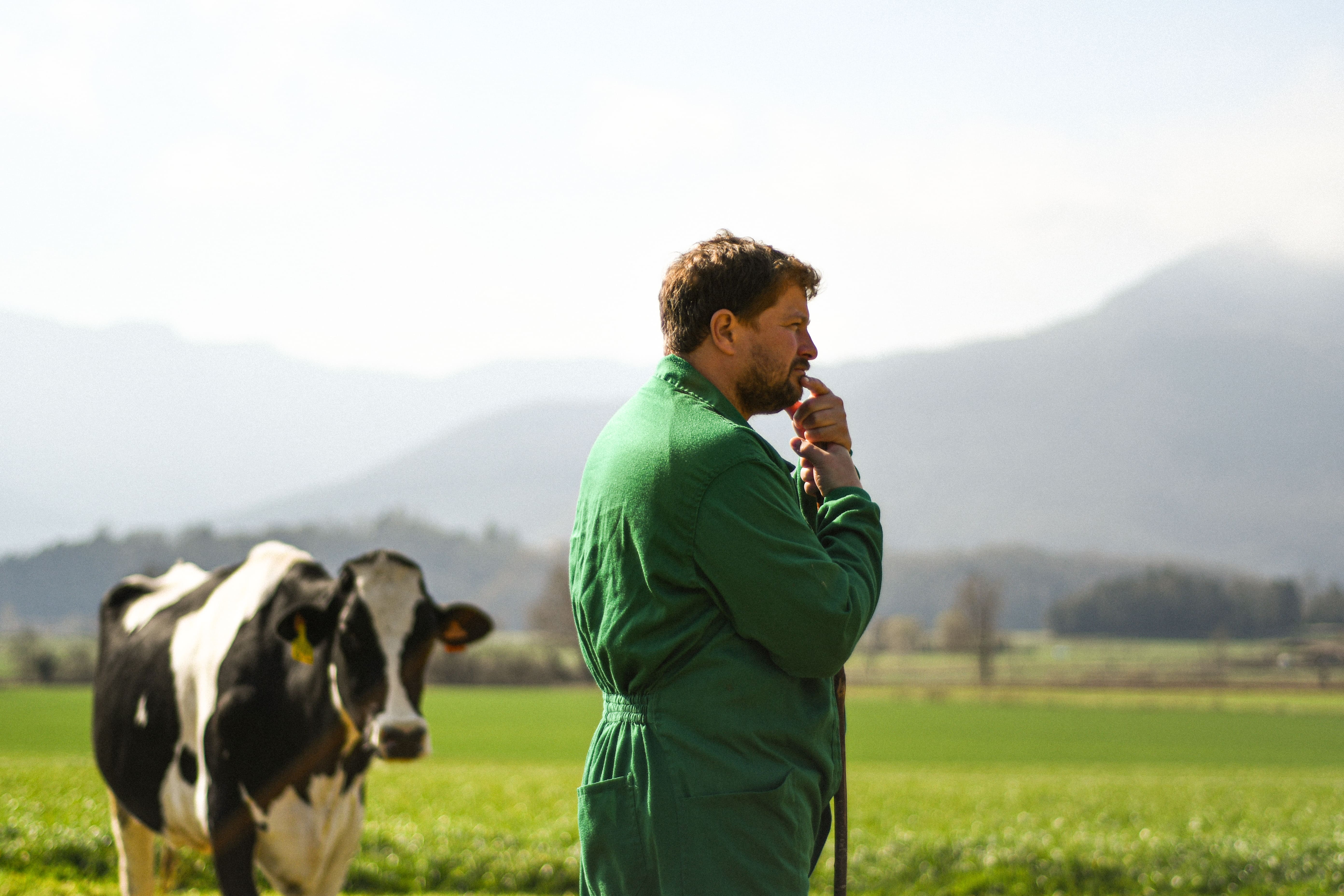 Candid color photograph of a person in a green work suit standing in a bright green field with cattle, emphasizing the brand's connection to the land and its resources.