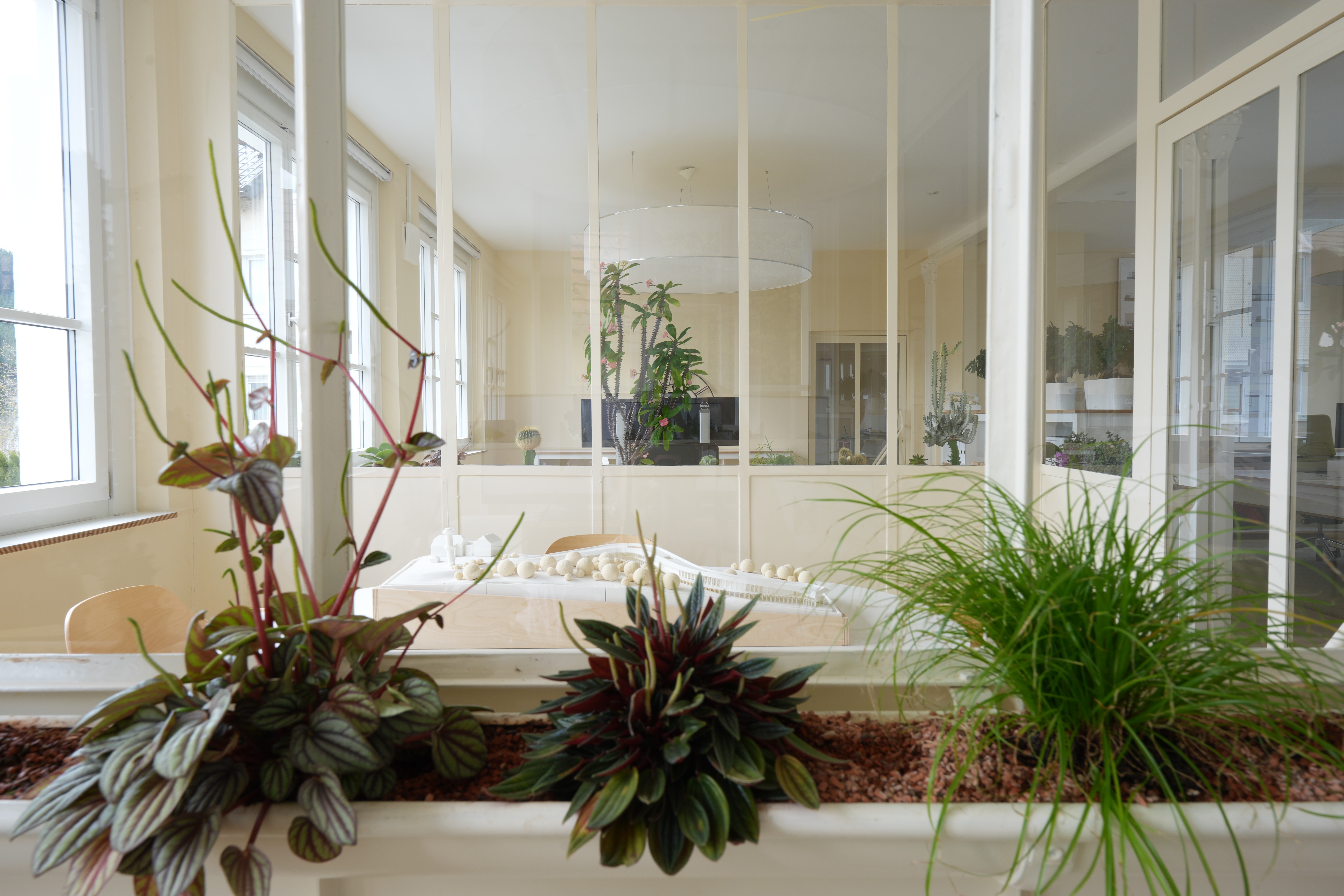 Finn Wilder - Close Up Portrait