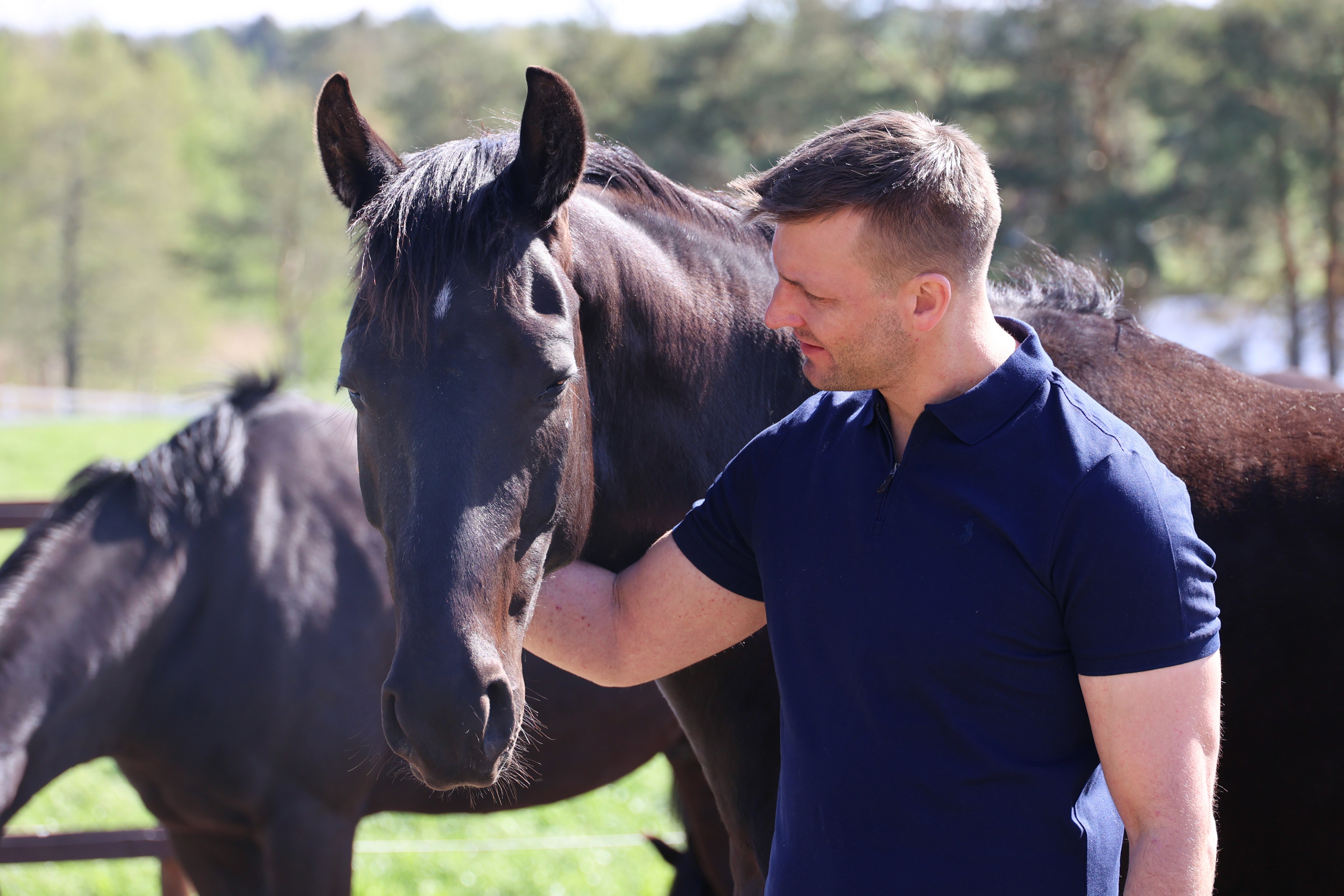 Man and horse together