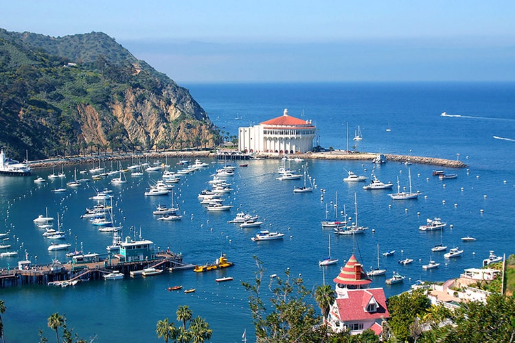 Catalina Yacht Charters
