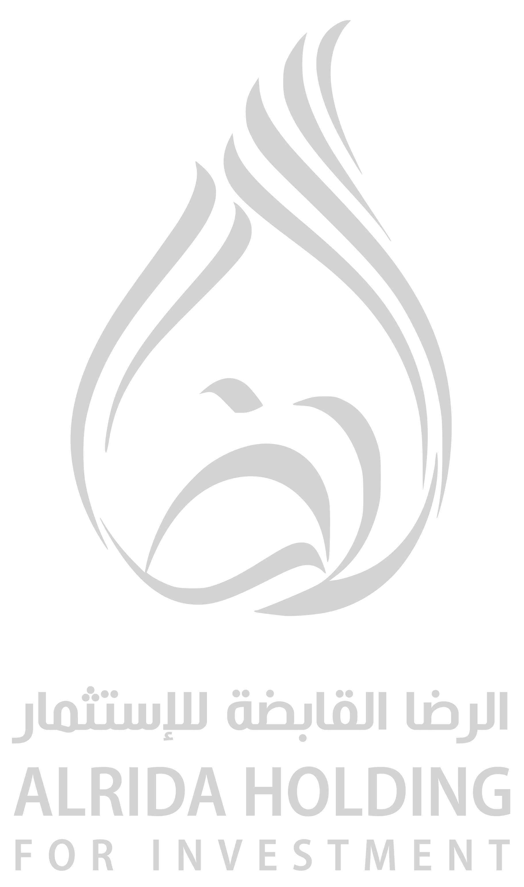 Flash logo