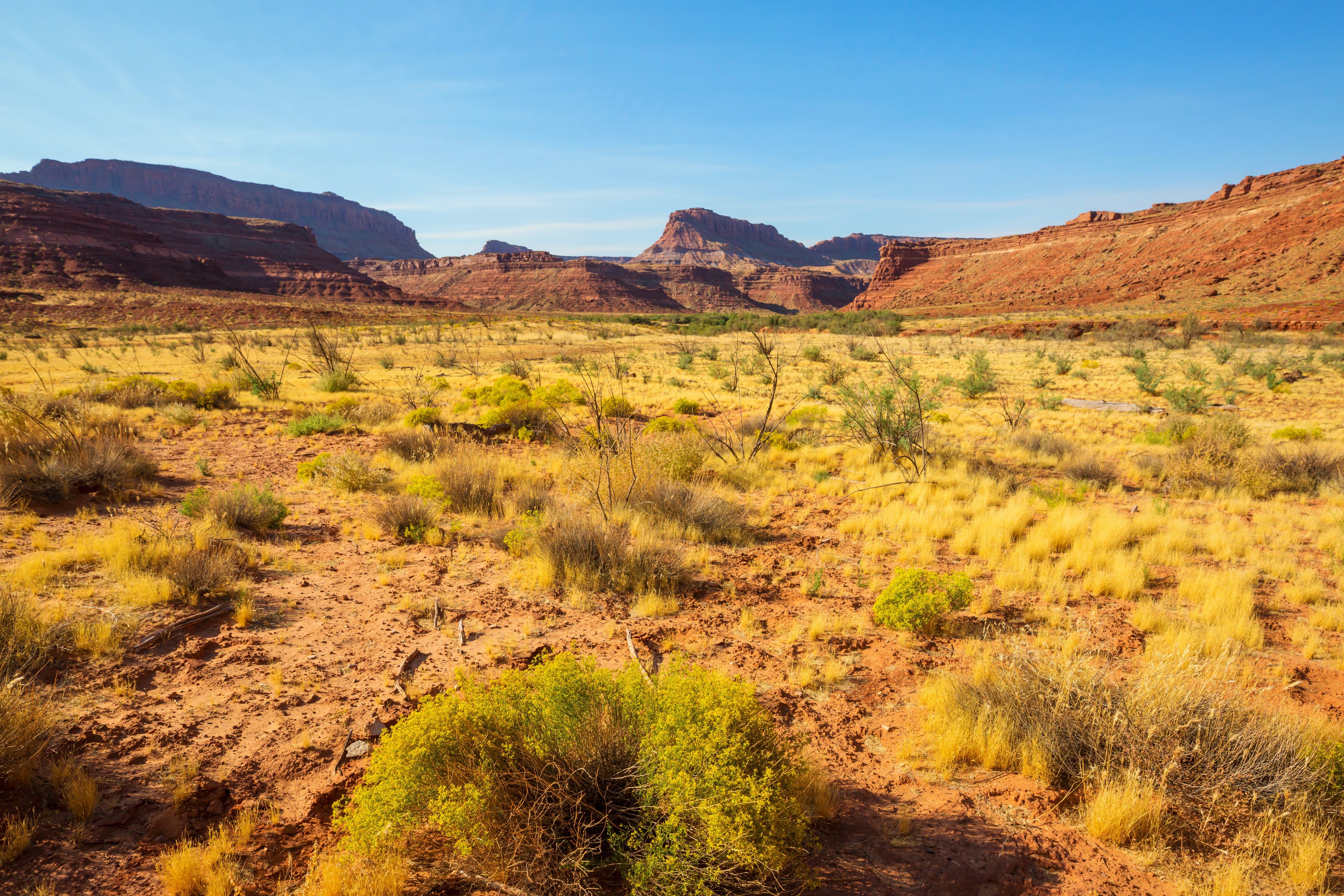 Elegant Perfume Display