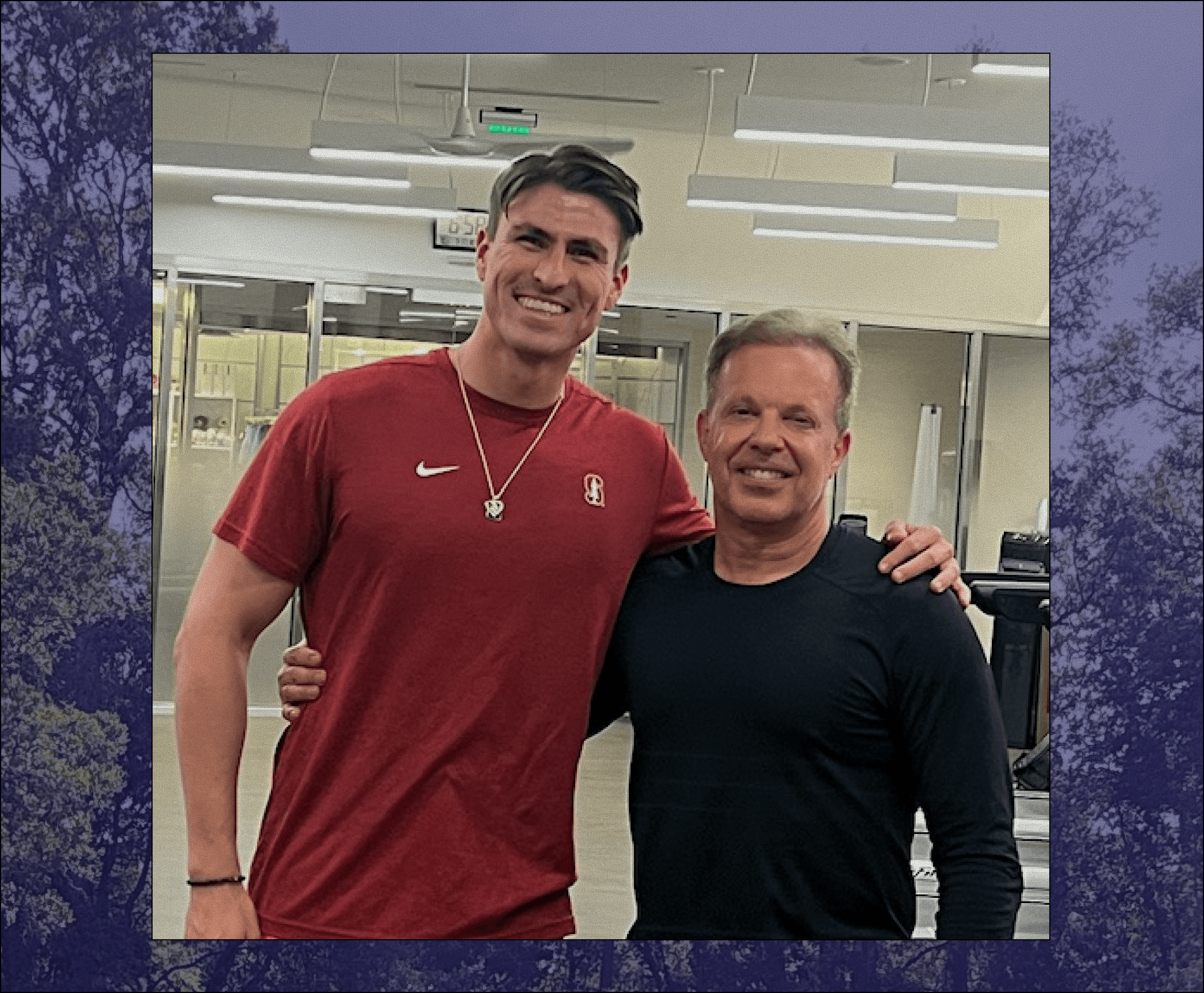 Minimalist abstract flower petal texture with light bokeh.