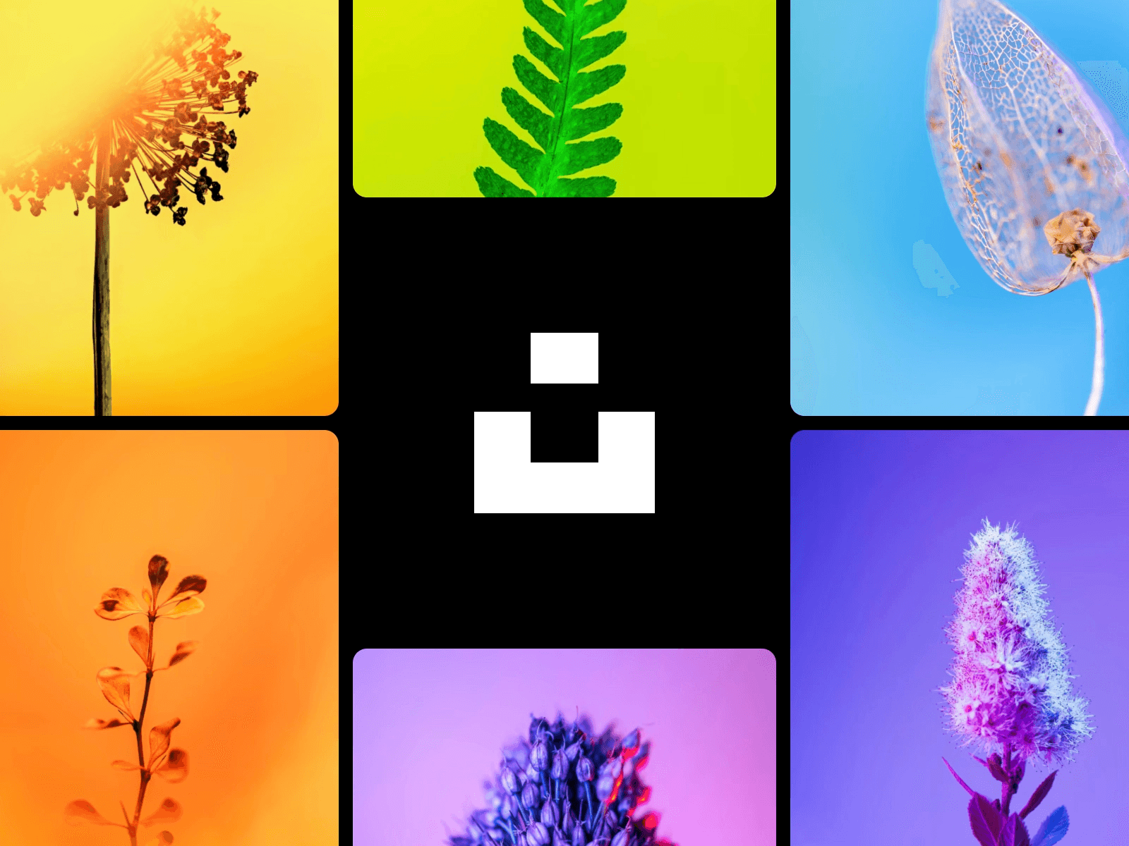 Screenshot of Unsplash plugin UI