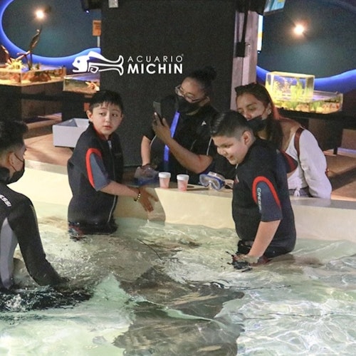 Acuario Michin Puebla