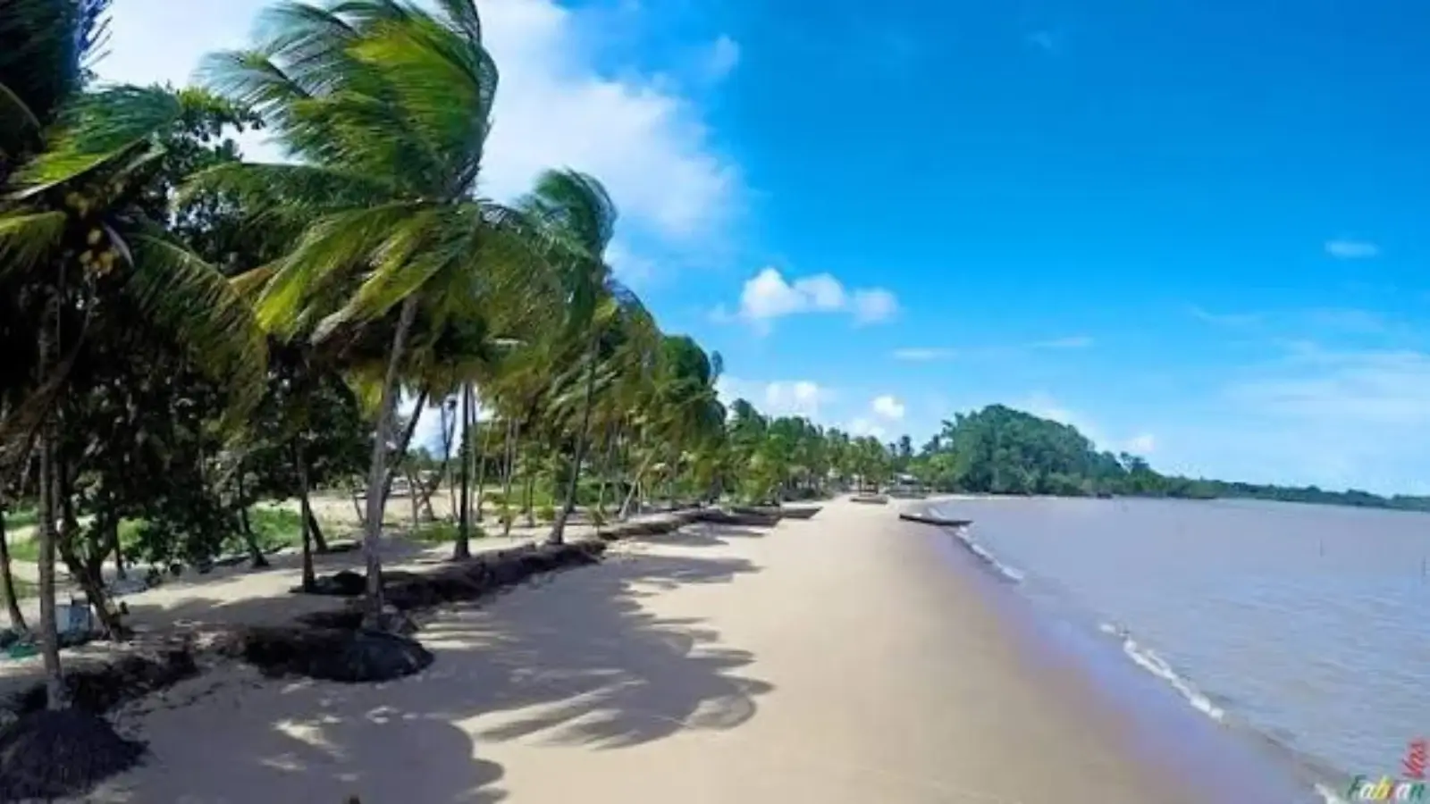 Suriname Travel Guide