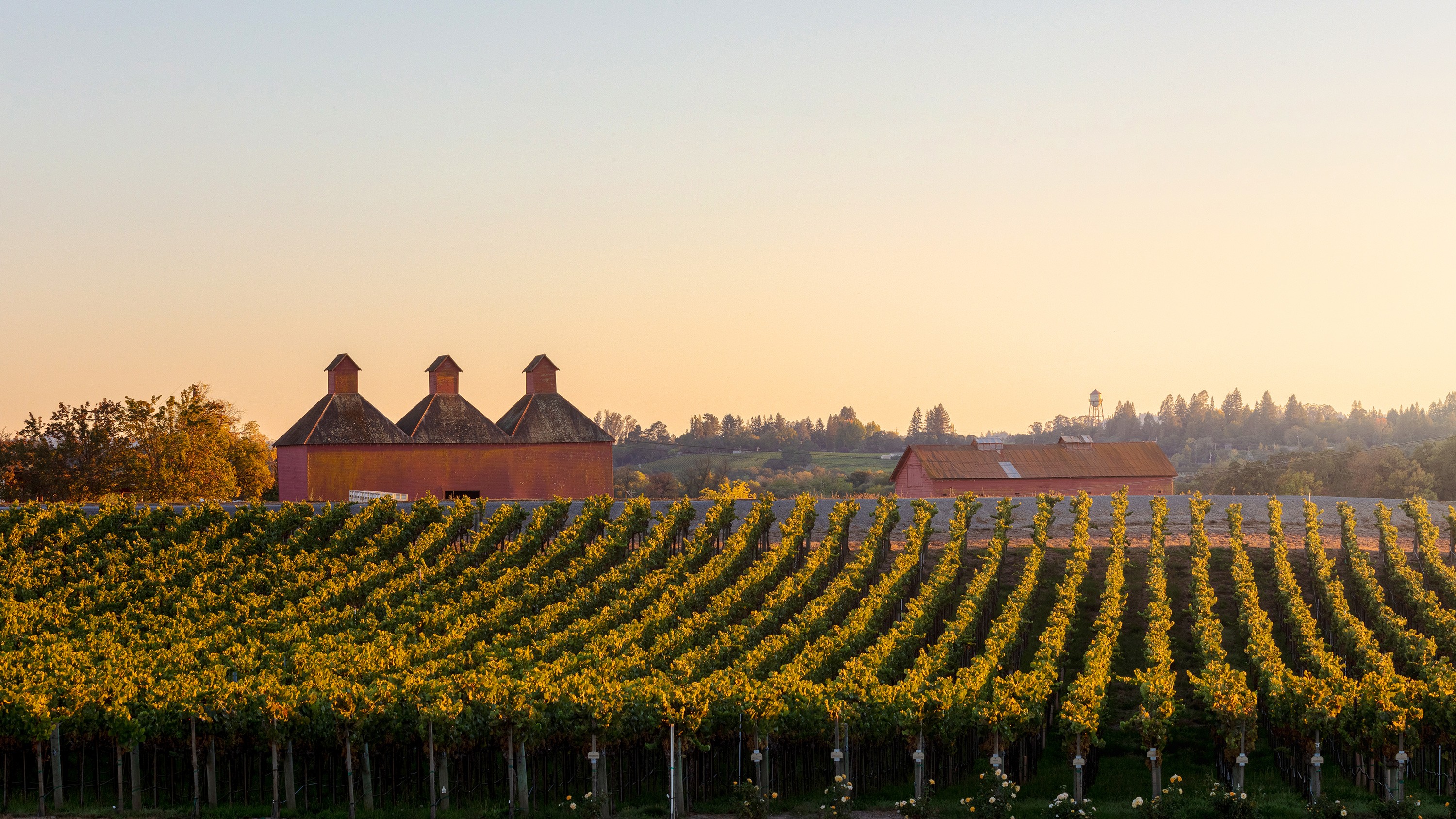 Sonoma-Cutrer Trade Training