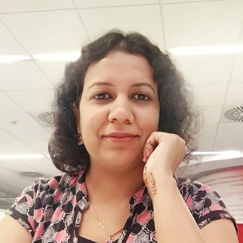 Meenu Sharma, Fractal