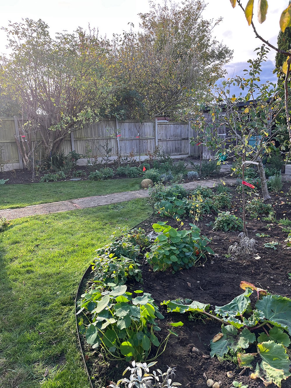 A sunny garden scene with greenery, plants, and a pathway leading through the foliage.